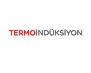 Termoindiksiyon